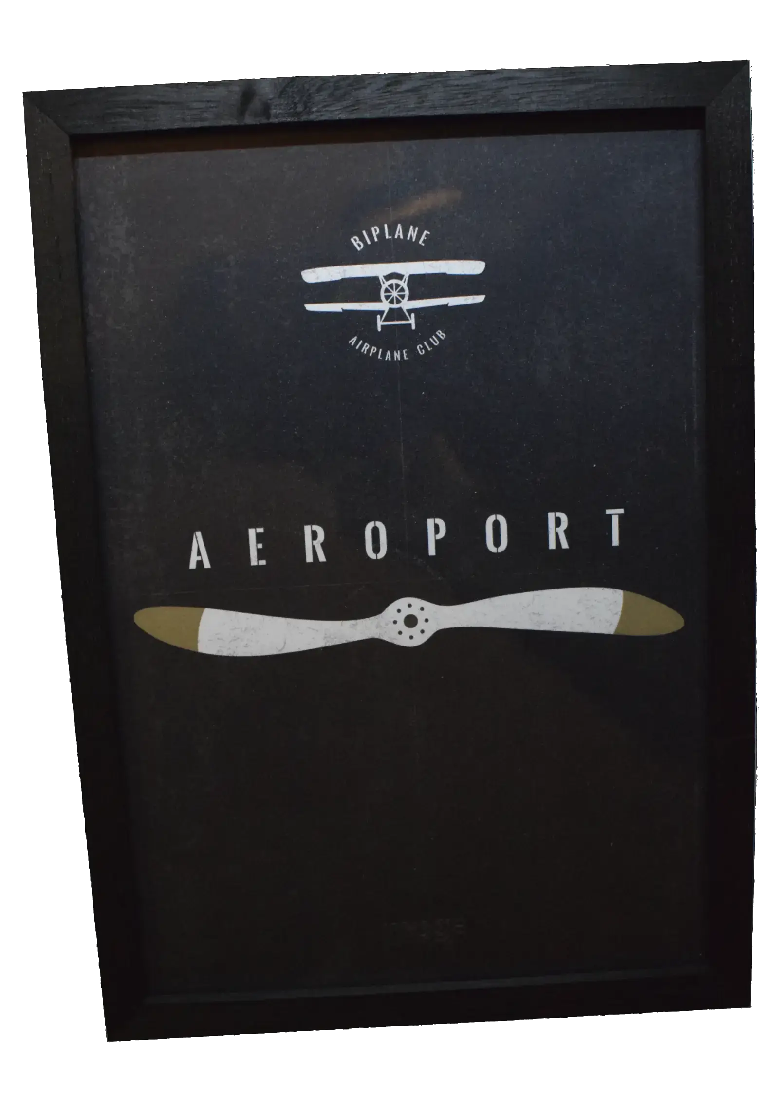 AEROACUAT