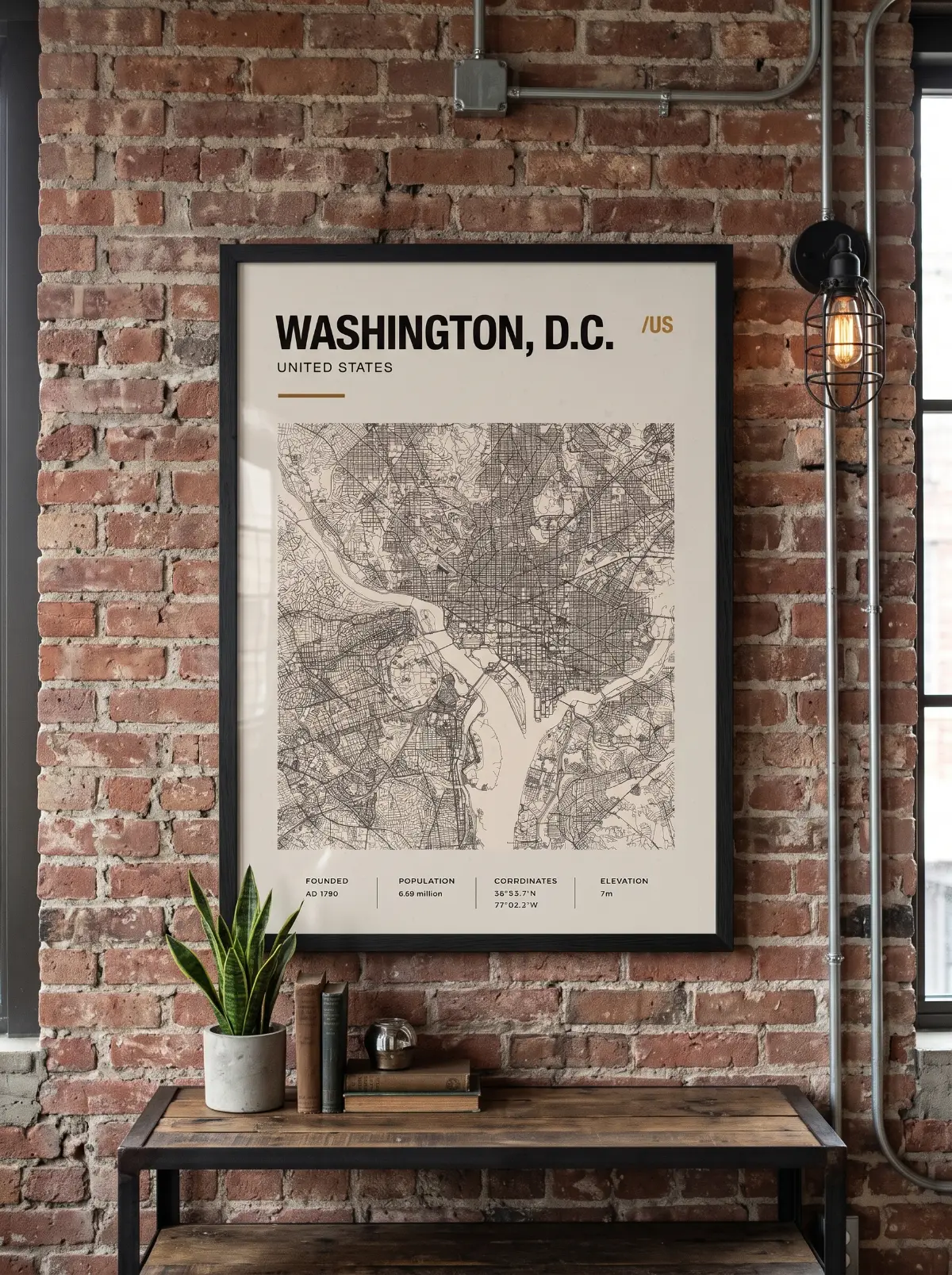 Póster mapa Washington DC
