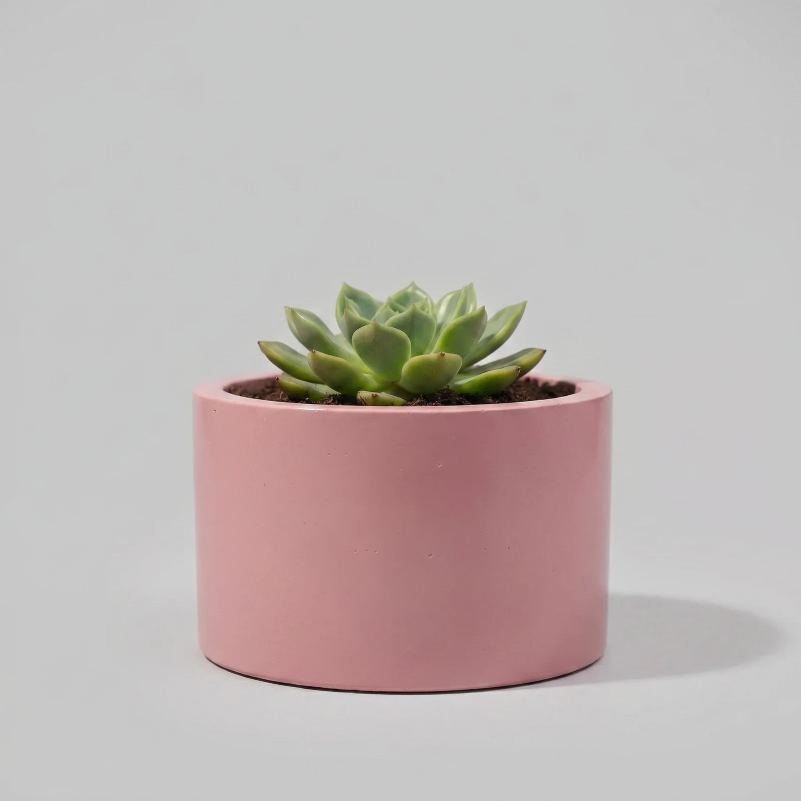 Maceta de cemento 12,5 cm