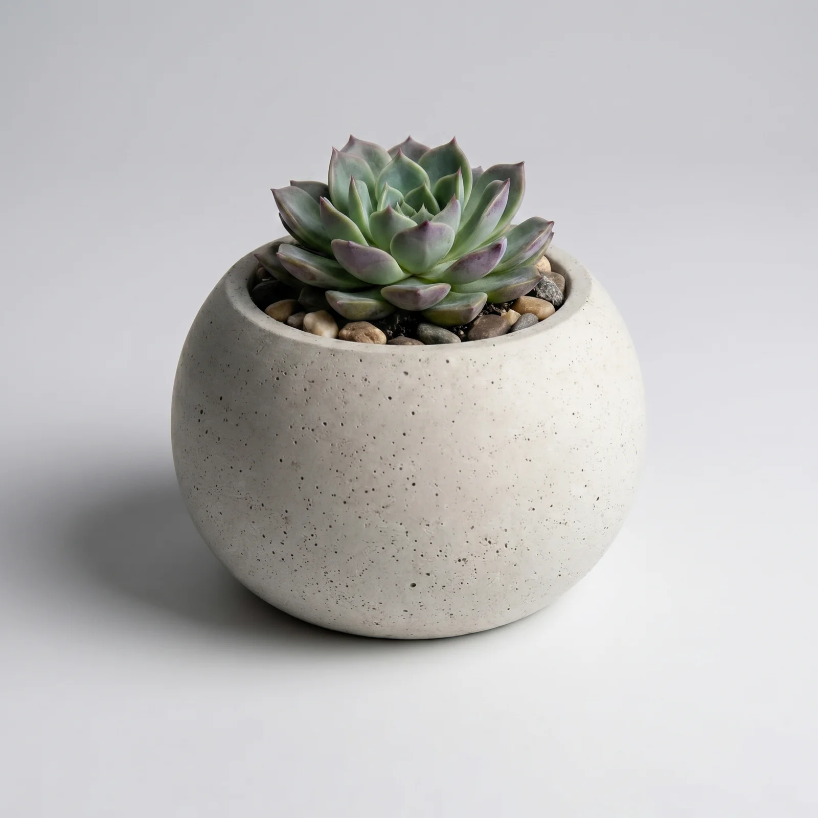 Maceta redonda de cemento – 8,4 cm